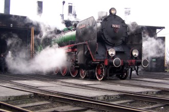 Japońska telewizja w Wolsztynie