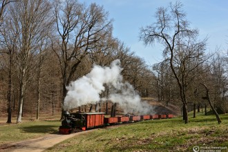 Waldeisenbahn Muskau - wiosenny pociąg specjalny 2022
