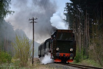 TKt48-18