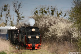 Px48-1756, Px48-1920