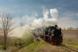 Px48-1756, Px48-1920