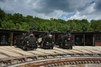 354.195,  414.096, 423.094