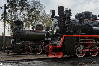 Px29-1704, Px48-1756