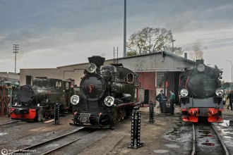 Px29-1704, Px48-1756, Ty 1884