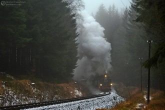 99 1741-0, 99 1785-7