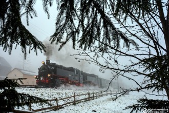 99 1741-0, 99 1785-7