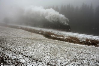 99 1741-0, 99 1785-7