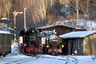 99 1785-7, 99 1786-5