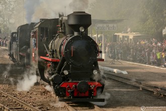 Kp4-3772, Px48-1752, Ty 1884