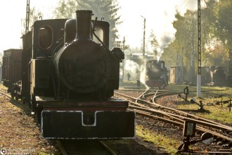 Las49-3343, 27, Tw47-2558