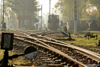 Las49-3343, Tw47-2558, TKb27-2002