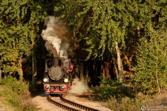 Las49-3343, TKb27-2002