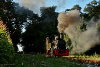Kaliska Kolej Dojazdowa - parowóz w ruchu turystycznym