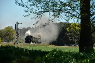 TKh 05353