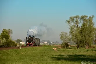 Pt47-65