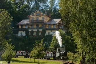 Orenstein & Koppel