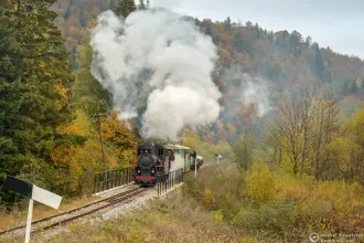 Kp4-3772