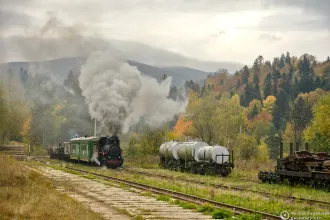Kp4-3772