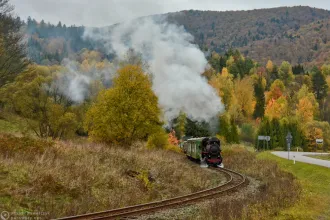 Kp4-3772