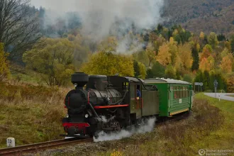 Kp4-3772