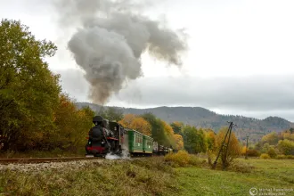 Kp4-3772