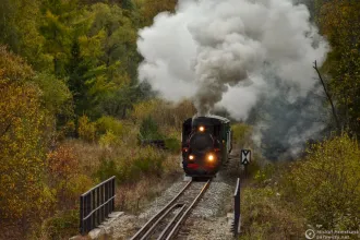 Kp4-3772