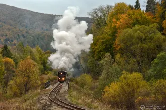 Kp4-3772
