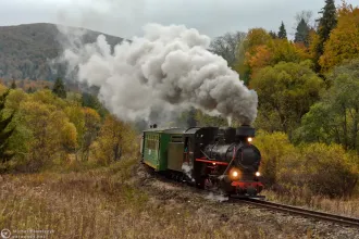 Kp4-3772