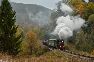Kp4-3772