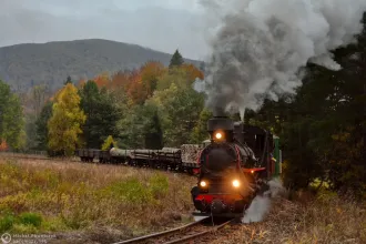 Kp4-3772