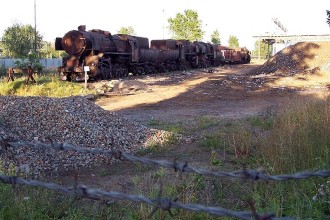 Ty43-111, Ty43-13, Ty43-64, Ty43-108