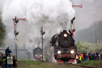 Ol49-111, Ty2-953, Ol49-7