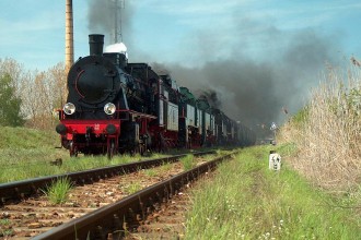 Tr5-65, OKz32-2, TKt48-191