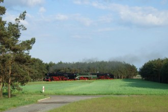 03 1010, 03 2204, 18 201