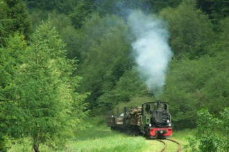 Bieszczadzka Kolejka Leśna 14.06.2008