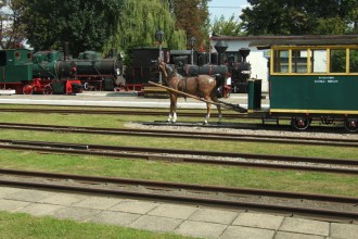 Tx28-1274, Tyb 3417, T 7841, Px49-1794