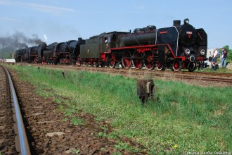 Pm36-2, Ty2-953, Pt47-65, Ol49-7