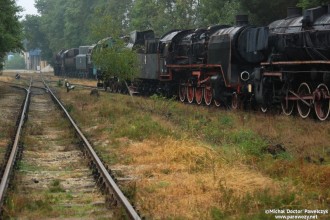 Ty5-10, Ty2-406, Ty42-148, Ty51-183, TKt48-147