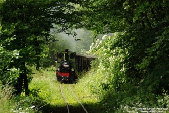 Zlot Miłośników Kolejek Wąskotorowych - Białośliwie 2012