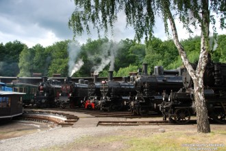 354.195, 77.28, Ol12-7, 434.1100, 354.7152, 310.23