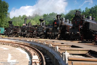 310.072, 422.0108, 313.132, 354.195, 77.28