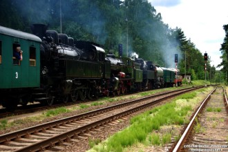 354.195, Ol12-7, 77.28