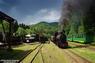 Kp4-3772, Kp4-1257, Ty 1884, "Las"